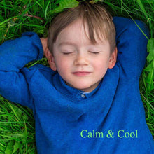 Load image into Gallery viewer, ESSENTIAL OIL LITTLE CALMING