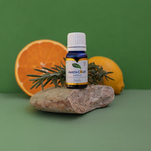 Load image into Gallery viewer, ESSENTIAL OIL PURIFY